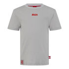 Camiseta Ni&ntilde;o Gris Atleti